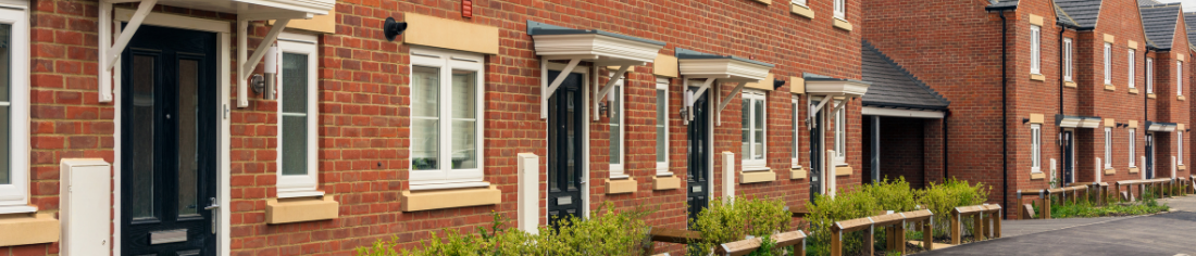 Professionals & Partners