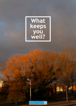What Keeps You Well